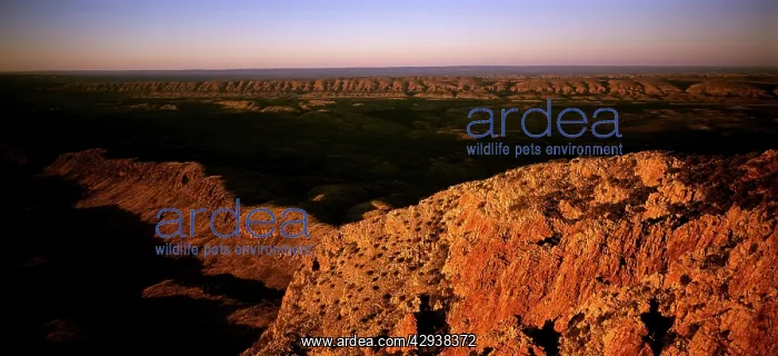: View at sunrise from Mount Sonder, West MacDonnell : View at sunrise from Mount Sonder, West MacDonnell