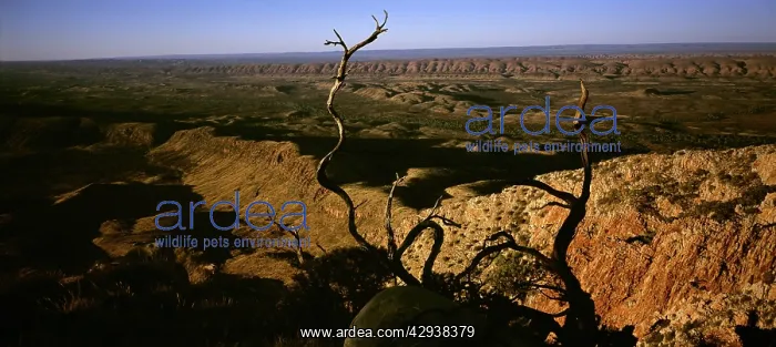  : View at sunrise from Mount Sonder, West MacDonnell