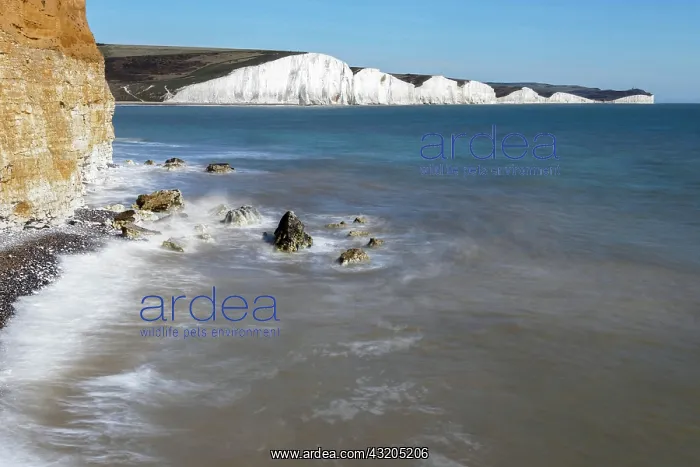 : View of the Sussex Coastline from Hope Gap : View of the Sussex Coastline from Hope Gap