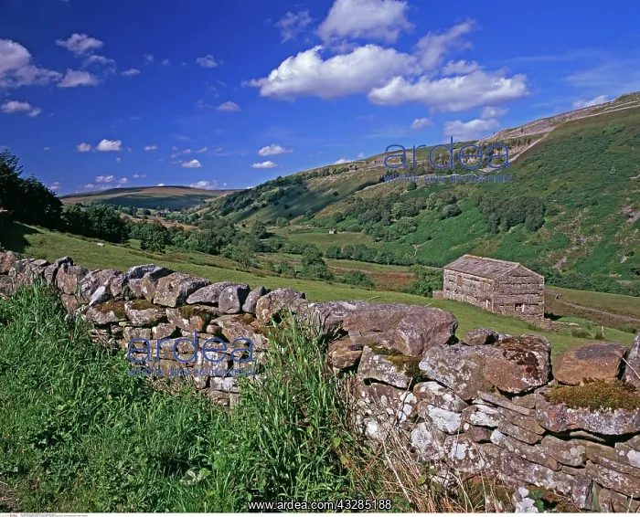 : A view of Swaledale, North Yorkshire, England : A view of Swaledale, North Yorkshire, England