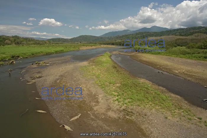 : View of the Tarcolis river, with Carara National : View of the Tarcolis river, with Carara National