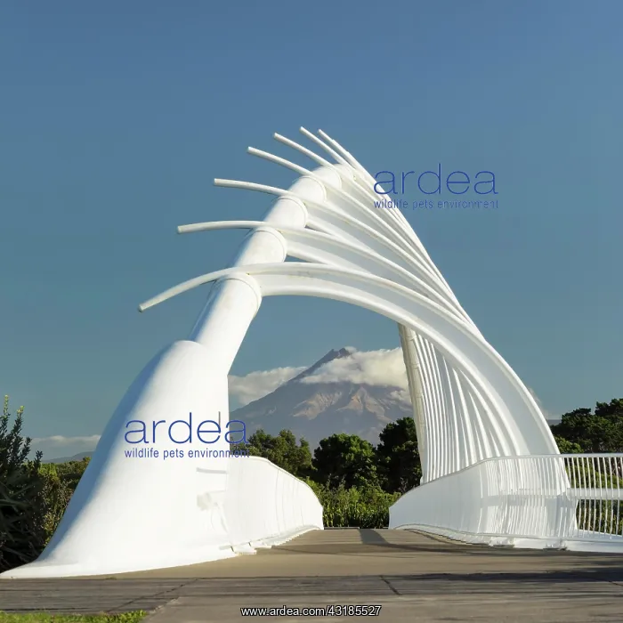 : View from Te Rewa Rewa Bridge to Mount Taranaki : View from Te Rewa Rewa Bridge to Mount Taranaki