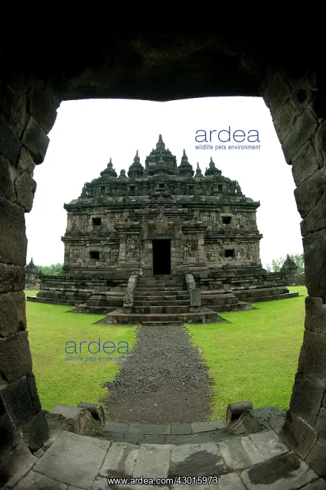  : View of Temple through doorway
