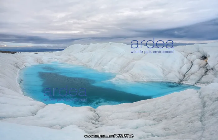 : View towards terminal moraine and foreland of the : View towards terminal moraine and foreland of the
