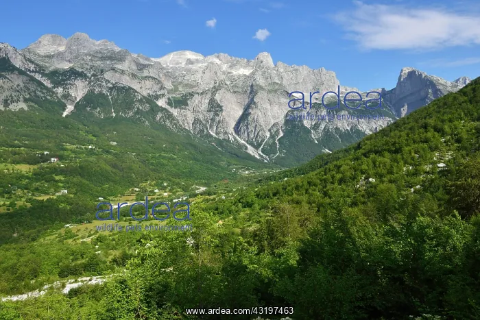 : View over Thethi valley towards Radohima and Arapi : View over Thethi valley towards Radohima and Arapi