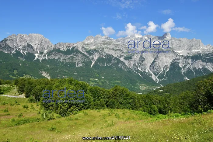 : View over Thethi valley towards Radohima mountain : View over Thethi valley towards Radohima mountain