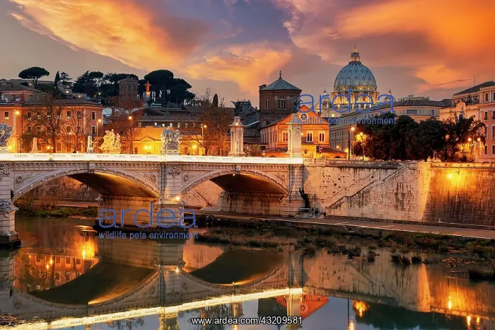 : View of the Tiber River and Saint Peter's Basilica : View of the Tiber River and Saint Peter's Basilica
