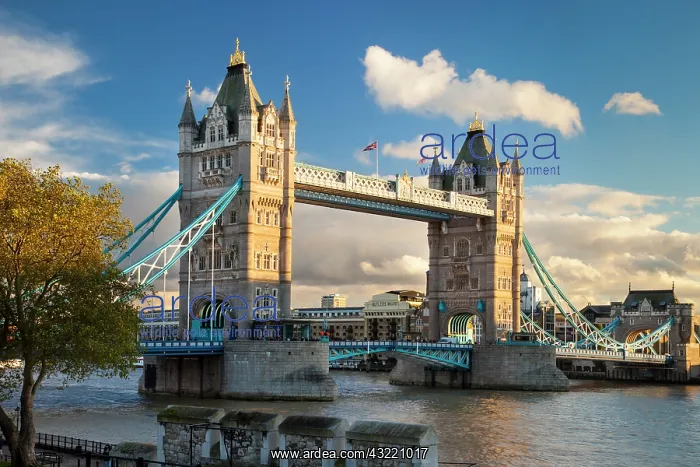 : View of the Tower Bridge from inside the : View of the Tower Bridge from inside the