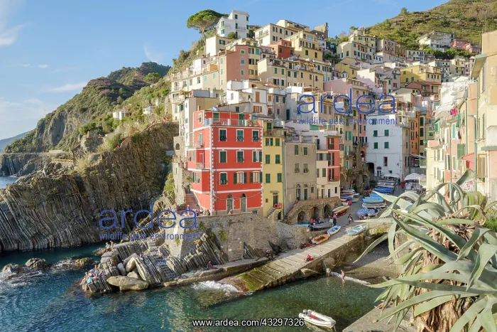 : View over the town and harbour with its colourful : View over the town and harbour with its colourful