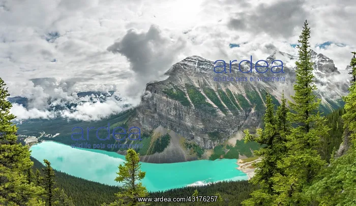 : View of turquoise glacial Lake Louise, summit of : View of turquoise glacial Lake Louise, summit of
