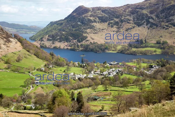 : View of Ullswater lake and Glenridding village : View of Ullswater lake and Glenridding village
