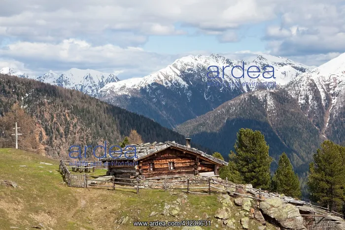 : View over the Ulten valley (Ultental) with : View over the Ulten valley (Ultental) with