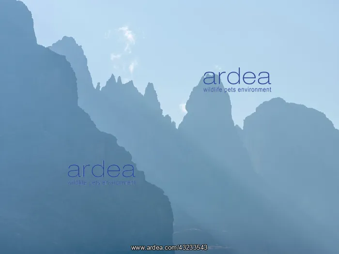  : View from Val Rendena towards the Brenta Dolomites