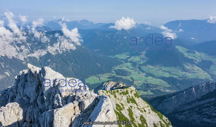 : View into the valley on the way to the Hochkalter : View into the valley on the way to the Hochkalter