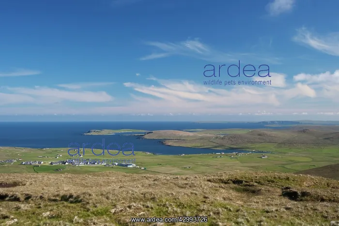 : View of Valsgarth and North East Unst from Saxa Vord : View of Valsgarth and North East Unst from Saxa Vord