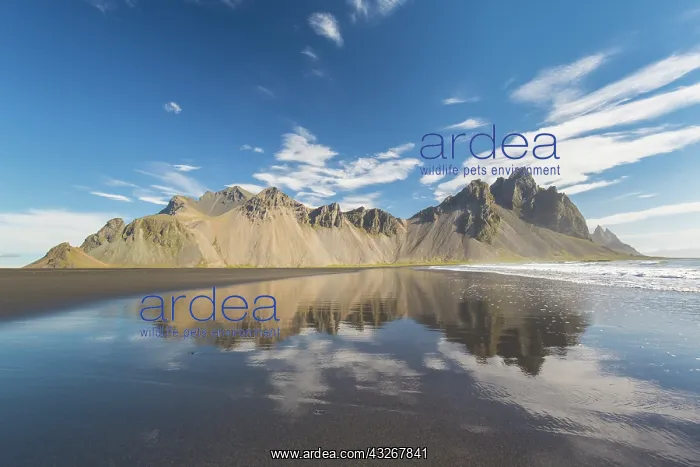 : View of the Vestrahorn - part of the Klifatindur : View of the Vestrahorn - part of the Klifatindur