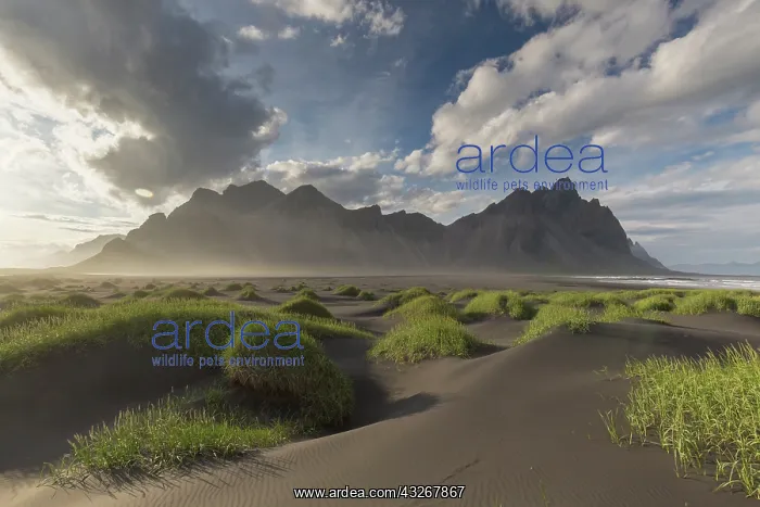  : View of the Vestrahorn - part of the Klifatindur