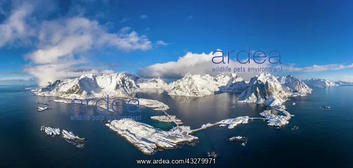 : View to the villages Reine, Sakris&, xe6086e;d Hamn&, xe6c833; : View to the villages Reine, Sakris&, xe6086e;d Hamn&, xe6c833;