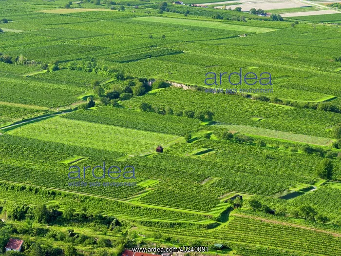 : View over the vineyards near the Danube from Gottweig : View over the vineyards near the Danube from Gottweig