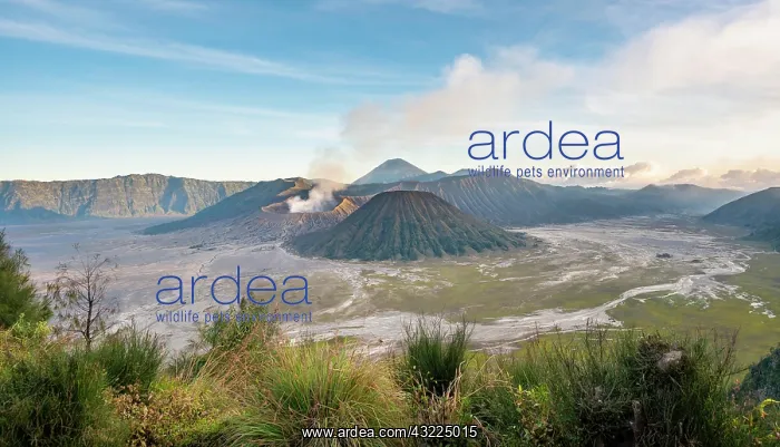 : View of volcanic landscape, volcanoes, smoking volcano : View of volcanic landscape, volcanoes, smoking volcano