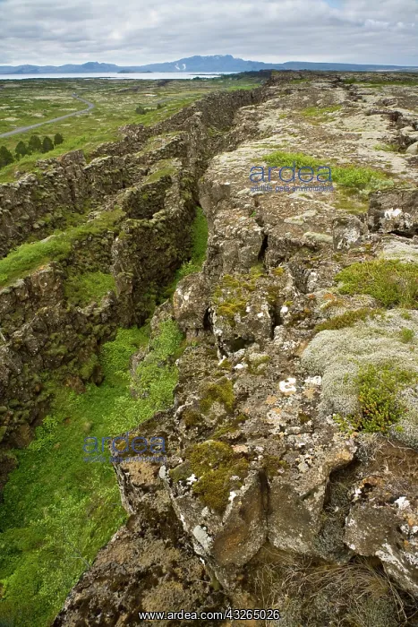 : View of volcanic rift zone near Thingvellir : View of volcanic rift zone near Thingvellir