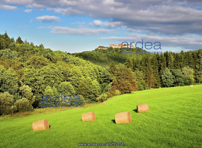: View of the Wartburg Castle, bales of hay in meadow : View of the Wartburg Castle, bales of hay in meadow