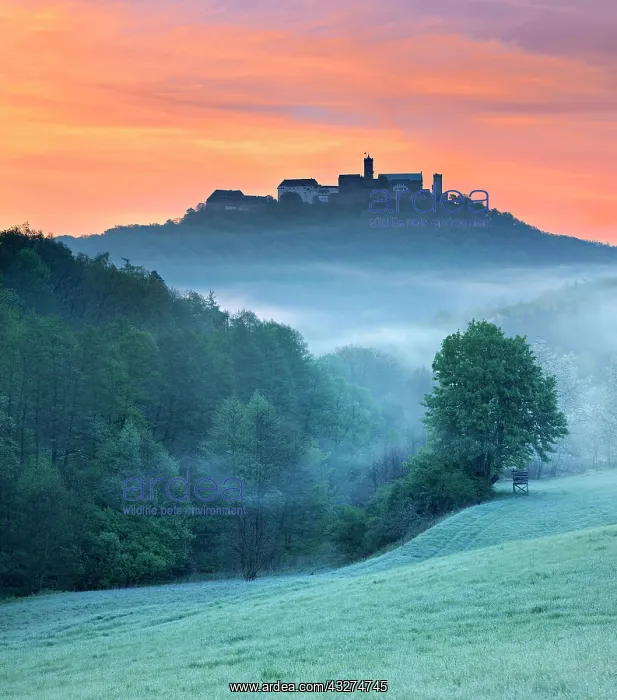  : View of Wartburg Castle at sunrise, morning fog