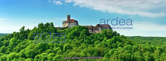  : View of Wartburg, Eisenach, Thuringia, Germany