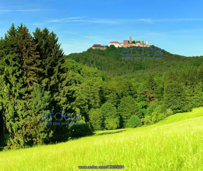 : View of Wartburg, Eisenach, Thuringia, Germany : View of Wartburg, Eisenach, Thuringia, Germany