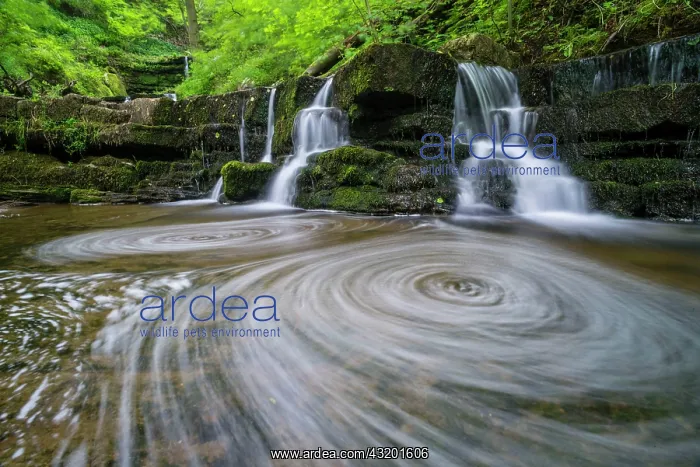 : View of waterfall, whirlpools and cascades, Scaleber : View of waterfall, whirlpools and cascades, Scaleber