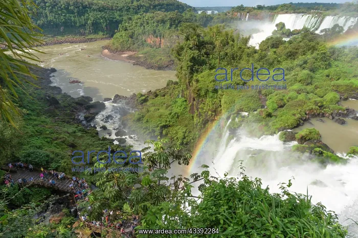 : View of the waterfalls from above, Upper Circuit : View of the waterfalls from above, Upper Circuit
