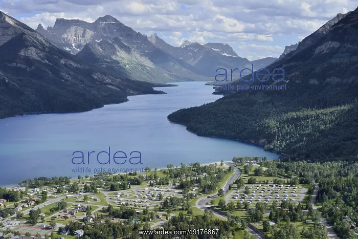 : View of Waterton Townsite from the Bear's Hump viewpoint : View of Waterton Townsite from the Bear's Hump viewpoint