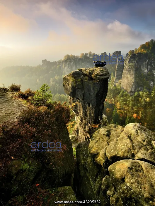 : View of Wehlnadel and Bastei bridge, morning light : View of Wehlnadel and Bastei bridge, morning light