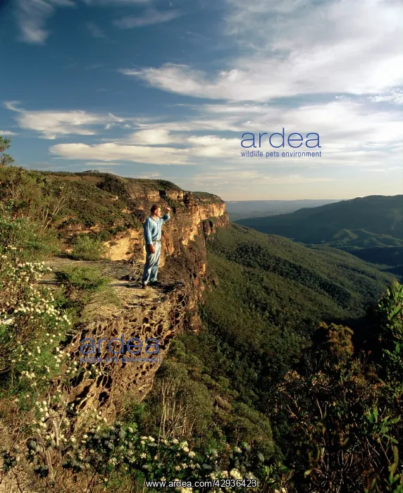 : View from Wentworth Falls area, with Kings Tableland : View from Wentworth Falls area, with Kings Tableland