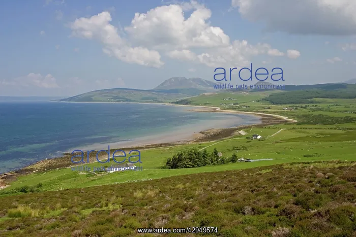 : View of west coast near Torbeg : View of west coast near Torbeg