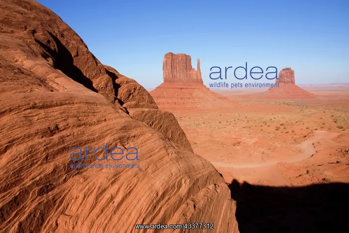  : View of the West and East Butte in Monument Valley