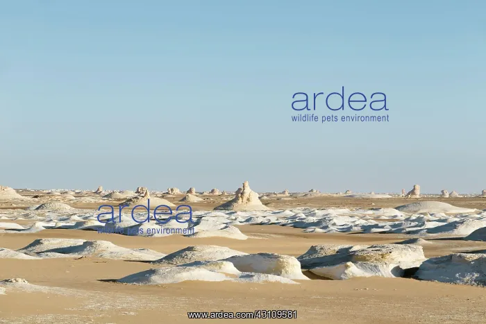 : View over the white desert, Western Libyan desert : View over the white desert, Western Libyan desert