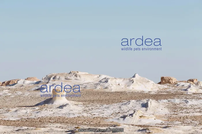 : View over the white desert, Western Libyan desert : View over the white desert, Western Libyan desert