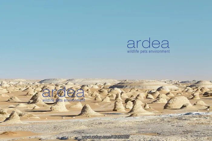 : View over the white desert, Western Libyan desert : View over the white desert, Western Libyan desert