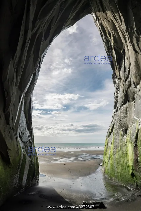 : View from Whitecliffs Cave, Tongaporutu, Taranaki : View from Whitecliffs Cave, Tongaporutu, Taranaki