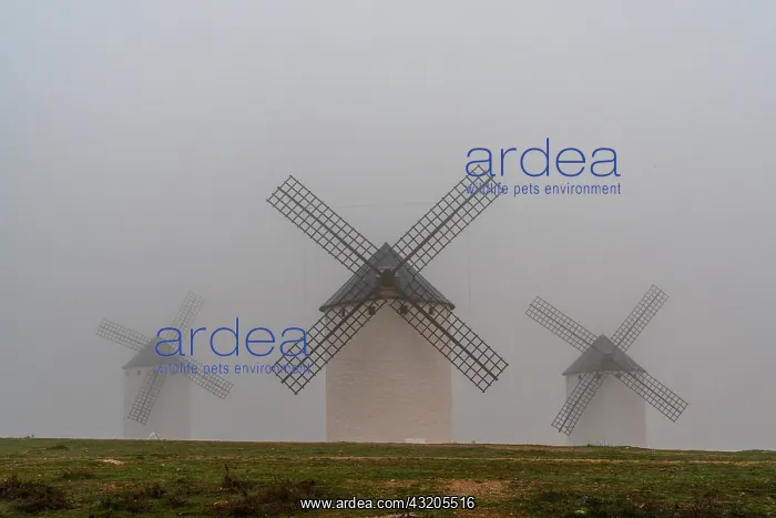 : A view of the windmills of Campo de Criptana in : A view of the windmills of Campo de Criptana in