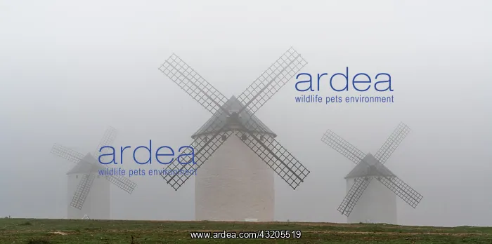 : A view of the windmills of Campo de Criptana in : A view of the windmills of Campo de Criptana in