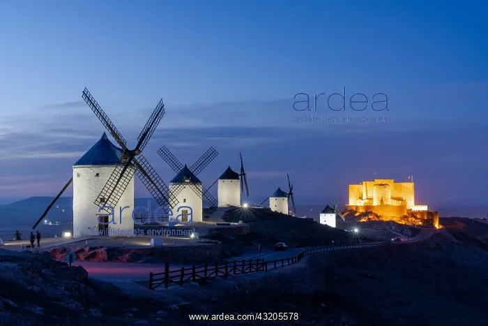 : A view of the windmills and castle of Consuegra : A view of the windmills and castle of Consuegra