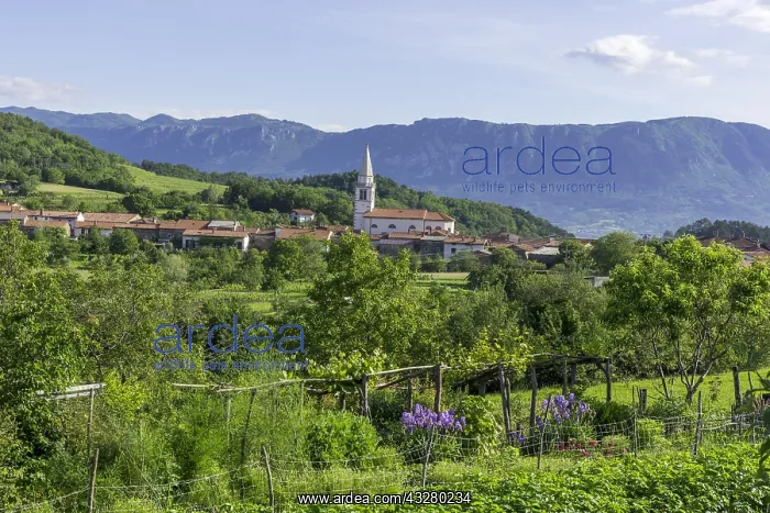: View of the wine village, Goce, Slovenia, Europe : View of the wine village, Goce, Slovenia, Europe