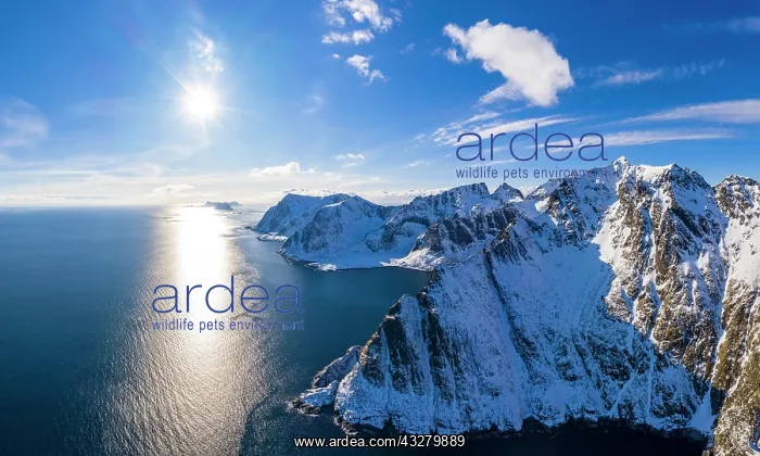 : View at &, x160;i Lofoten in direction V&, x6cb8;y : View at &, x160;i Lofoten in direction V&, x6cb8;y
