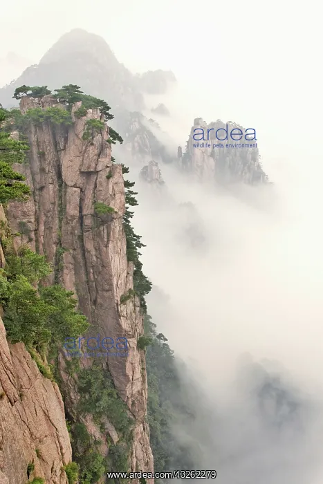 : View on Yellow Mountain, Huangshan, China : View on Yellow Mountain, Huangshan, China