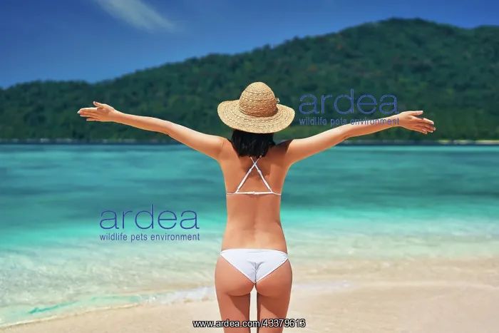 : Back view of young happy woman in white bikini a : Back view of young happy woman in white bikini a
