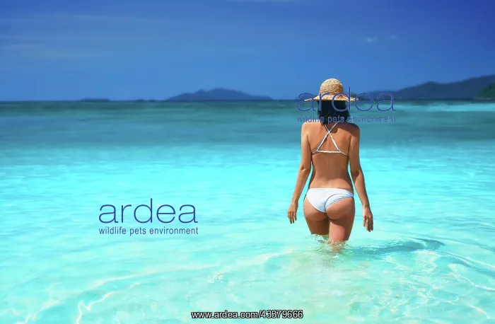 : Back view of young sexy woman in white bikini re : Back view of young sexy woman in white bikini re