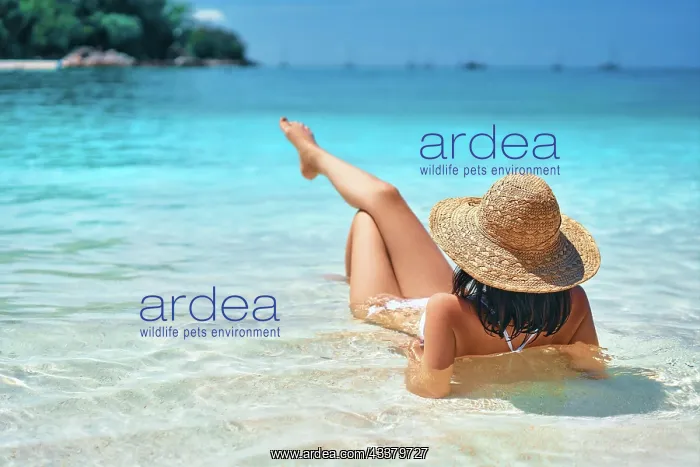 : Back view of young woman in straw hat and white : Back view of young woman in straw hat and white