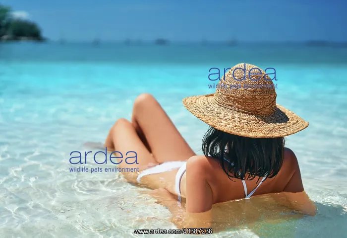 : Back view of young woman in straw hat and white : Back view of young woman in straw hat and white